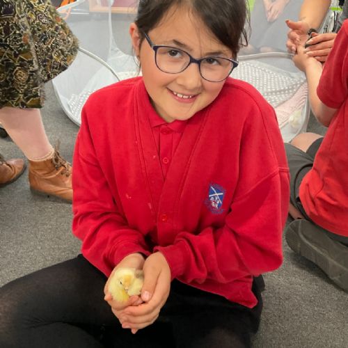 Year 5 Science