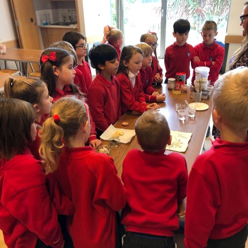 Year 3 Chelmsford Museum Trip