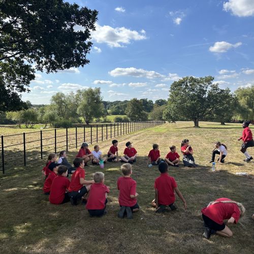 Playing in the grounds