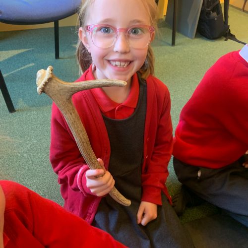 Handling artefacts