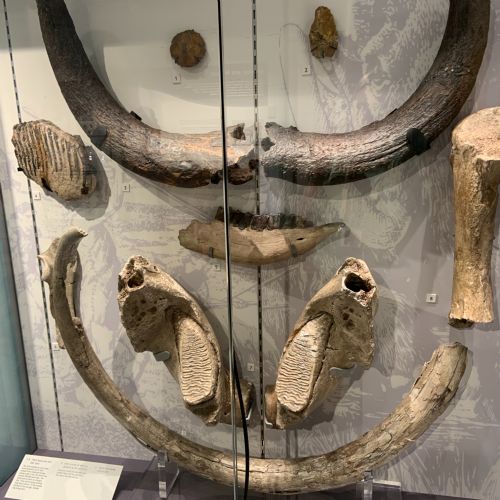 Stone Age display