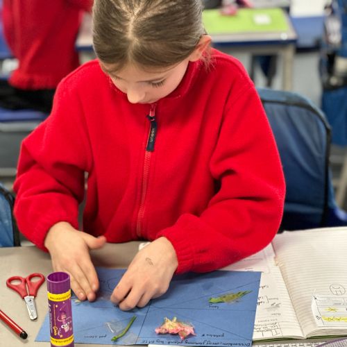 Year 5 Science